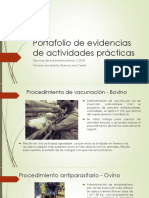 Portafolio de Evidencias de Actividades Prácticas TVP 005 - Enfermeria Animal