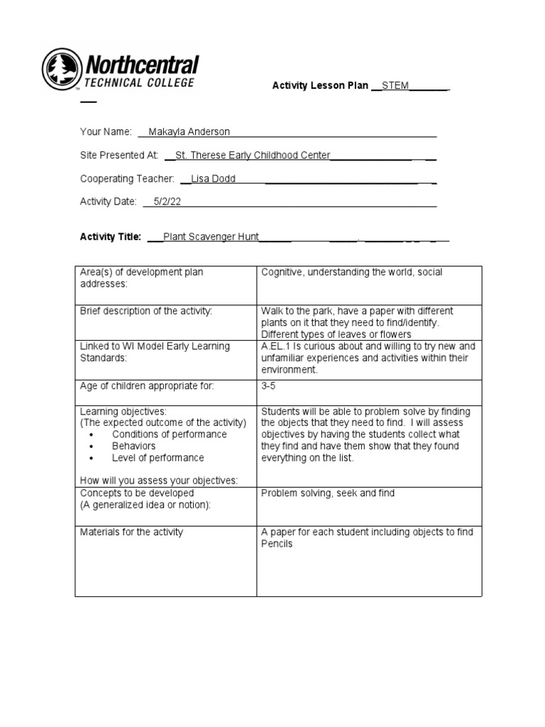 Stem Activity Lesson Plan | PDF | Learning | Lesson Plan