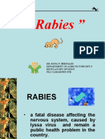 Rabies in Canine & RA 9482
