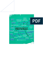 Mapa conceitual proteínas