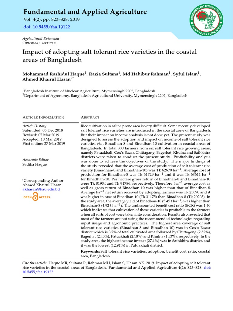 Impact of Salt Tolerant Rice in Bangladesh | PDF | Rice | Agriculture