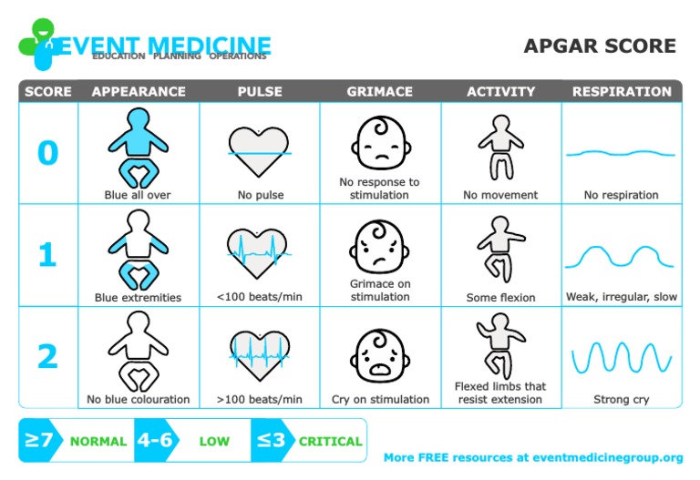 APGAR Score Assessment Chart | PDF