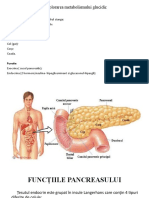 13. Explorarea Metabolismului Glucidic GlicemieTTG Glicozurie Insulinemie Parametrii de Monitorizare a Diabetului Zaharat