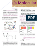 Biomol Completo