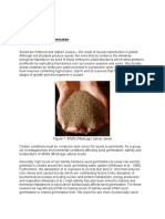 BIOL 0211 - Lab Report 2 - Seed Germination