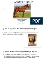 Caballos Español