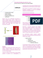 Clase 22 - Protección Del CPD