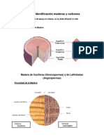 Gu A de Identificacion de Maderas 3 1