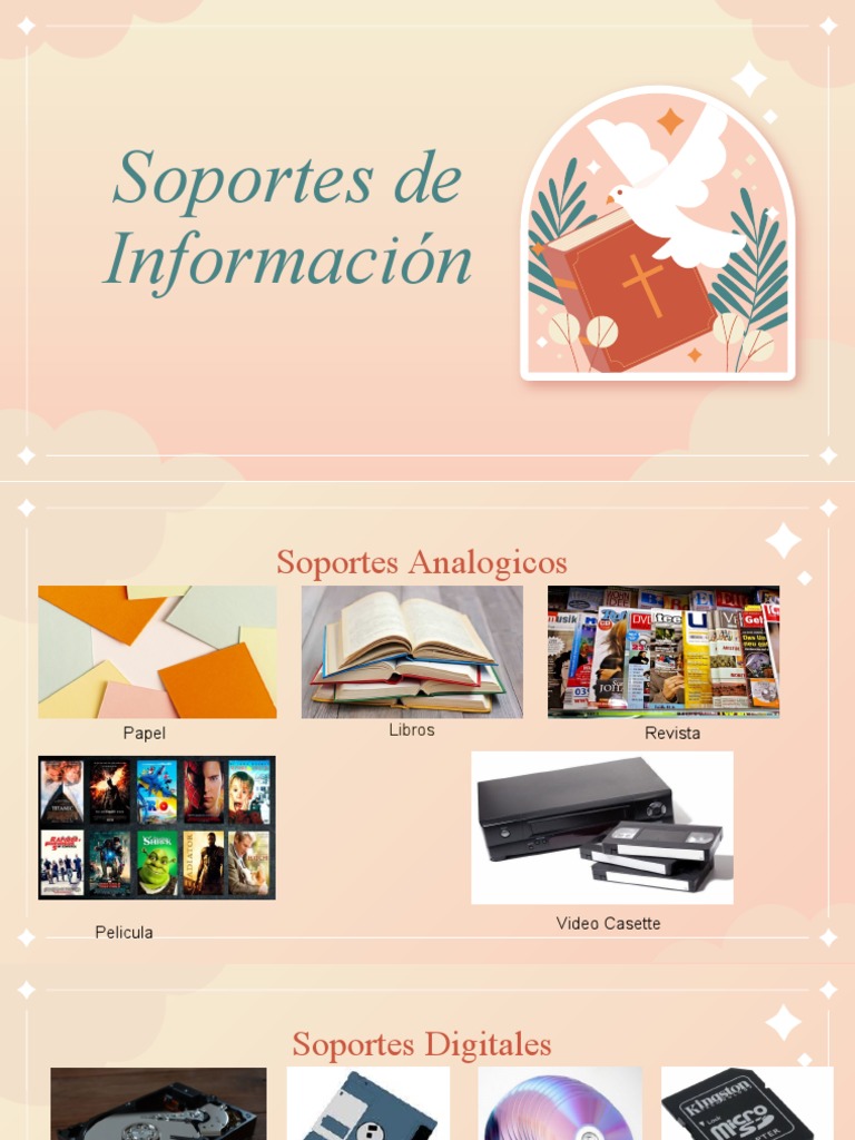 Soportes de Informacion | PDF