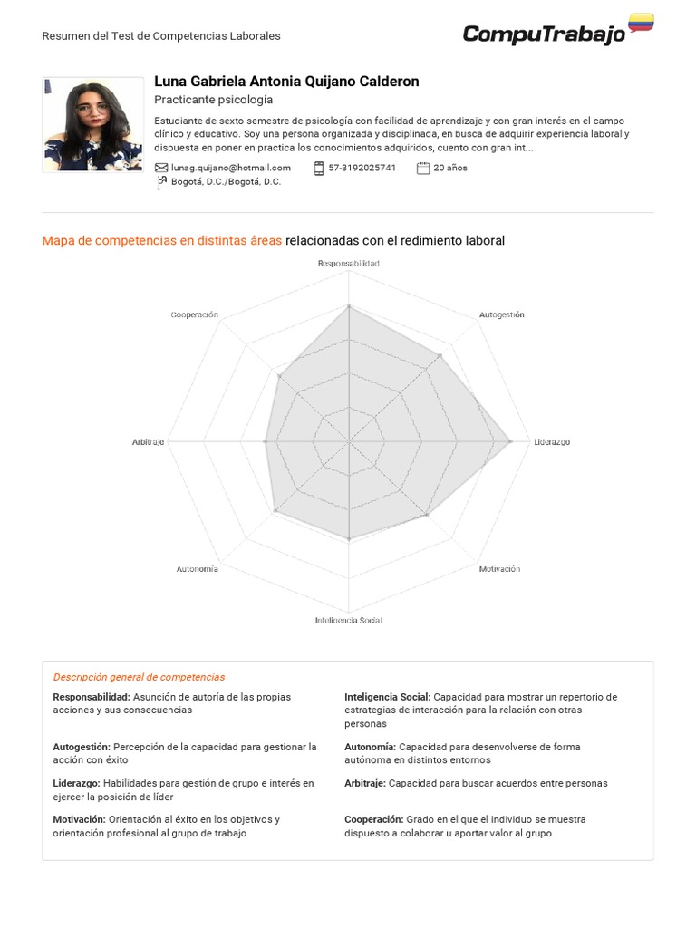 Resumen de Competencias Laborales | PDF