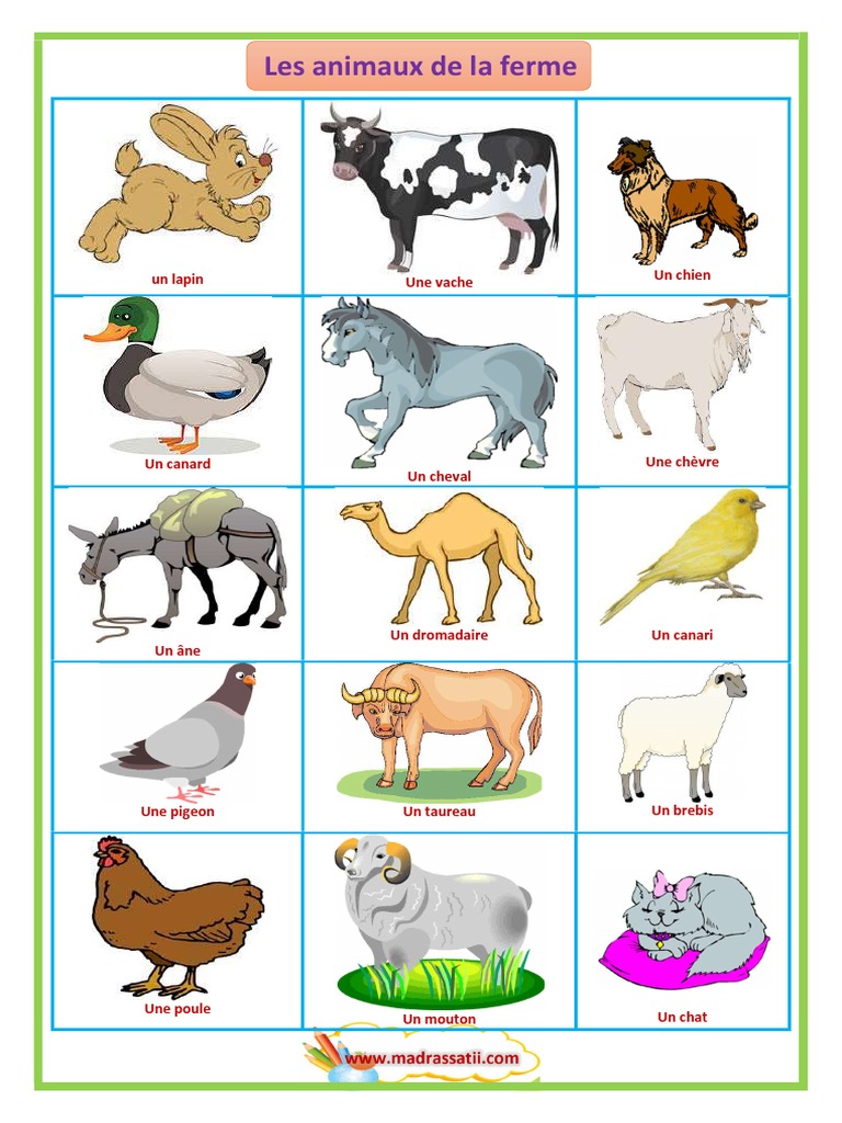 Animaux de la Ferme : Liste Complète | PDF