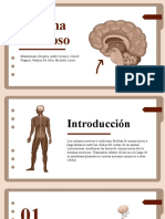 Exposición Sistema Nervioso