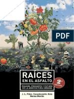 Raices en El Asfalto. Pasado Presente y