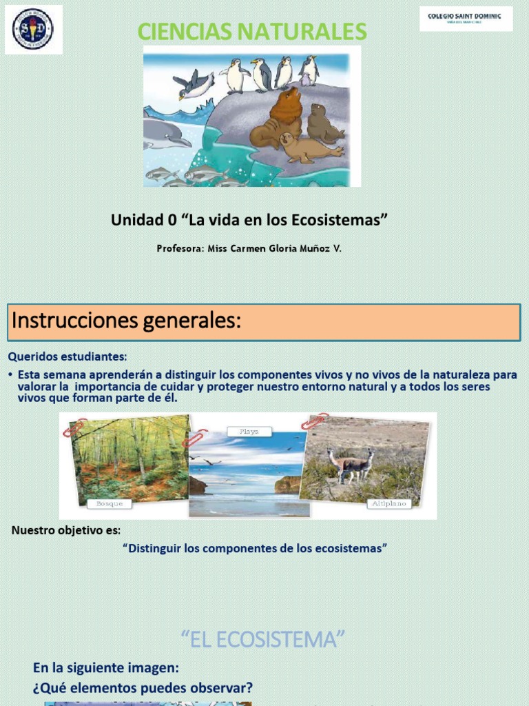 Clase 1 5° Básicos Unidad 0 | PDF | Ecosistema | Entorno natural