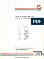 Curso de Facies Clasticos Modulo de Electrofacies