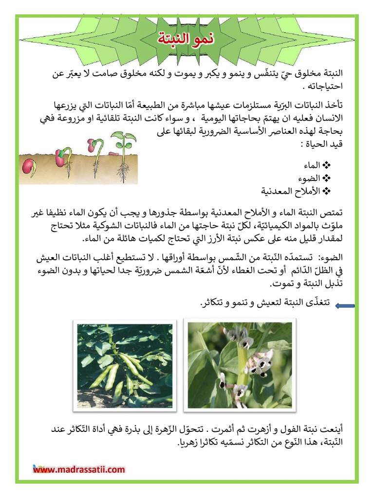 نمو النبتة النباتات | PDF