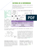 Historia Natural de La Enfermedad