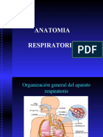 Anatomía Respiratoria