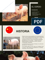 El Cerdo Diapositiva Lunes 1