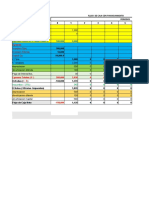 Formato de Flujo de Caja