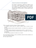 Formas Formação Rochas Magmáticas