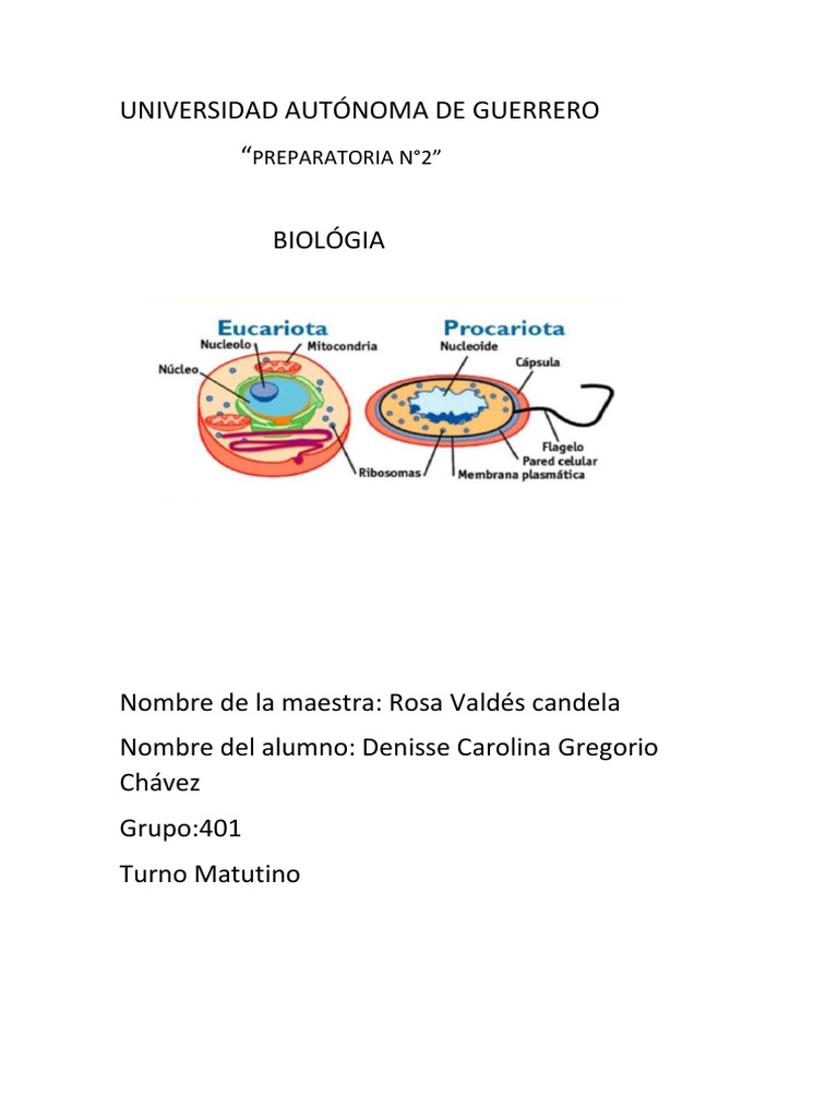 Comparativa de Células Eucariotas y Procariotas | PDF | Biología ...