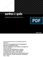 Liderança Exponencial e Estilos de Liderança