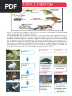 Sesión de Aprendizaje N°2 de La Eda 4 1° Er Grado-G.v-2022