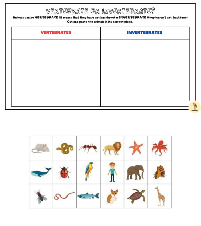 Vertebrates vs. Invertebrates Guide | PDF | Self-Improvement | Science ...
