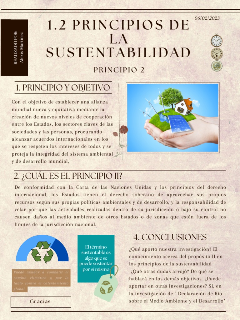 Principios de la Sustentabilidad | PDF | Crecimiento personal y profesional