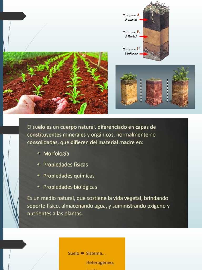 Génesis Del Suelo | PDF | Suelo | Roca (geología)