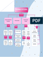 Columna Vertebral
