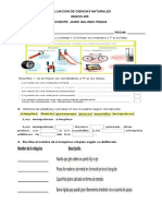 Evaluacion de Ciencias Naturales Grado 405 Año 2023