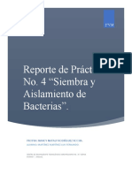 Siembra y aislamiento de bacterias en medios de cultivo