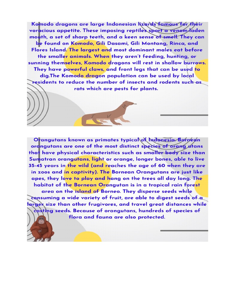 Descriptive Teks Animal | PDF