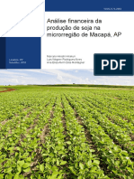 Análise financeira da produção de soja na microrregião de Macapá, AP