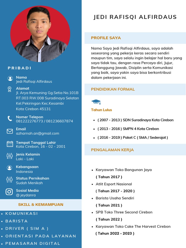 Blue Light Blue Color Blocks Flight Attendant CV PDF