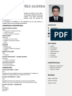CV Documentado (3) - Merged