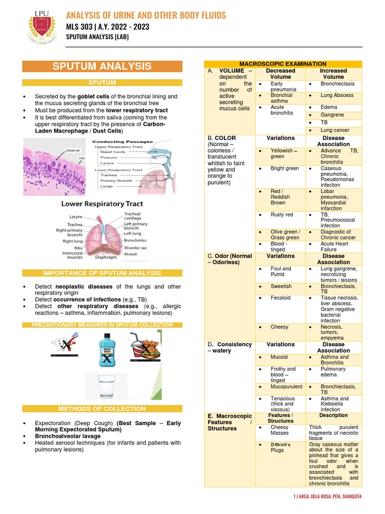 Sputum Analysis for Respiratory Diseases | PDF