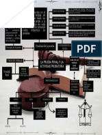 Esquema Semana 5 - La Prueba Penal y La Actividad Probatoria