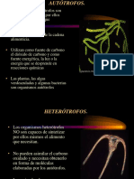 Tipos de Células Seres Vivos