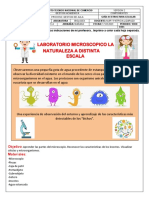 Observación microscópica de células y microorganismos