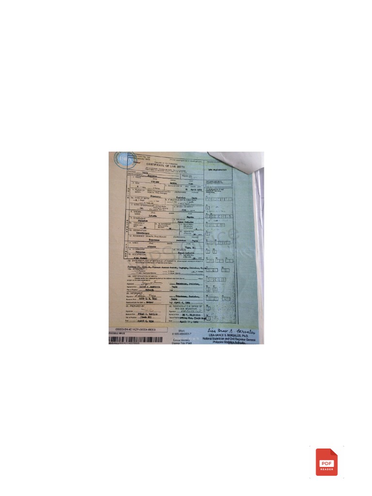 Vigo Vincent Birth Certificate PDF