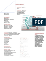 Bases Biologycs Du Comportamento