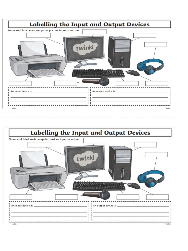 Input Output Label | PDF