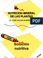 Fisiologia Vegetal 3 Solucion Nutritiva