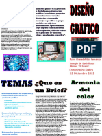 Triptico Diseño