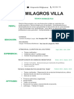 61 Curriculum Vitae Practica