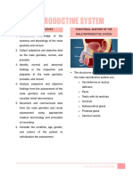 NCM 101 Assessing Male Genitalia