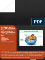 Presentacion Citoplasma